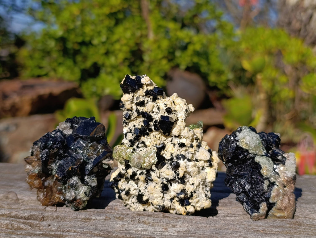 Natural Schorl Black Tourmaline Specimens x 6 From Erongo, Namibia - Toprock Gemstones and Minerals 