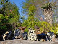 Natural Schorl Black Tourmaline Specimens x 6 From Erongo, Namibia