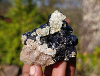 Natural Schorl Black Tourmaline Specimens x 6 From Erongo, Namibia