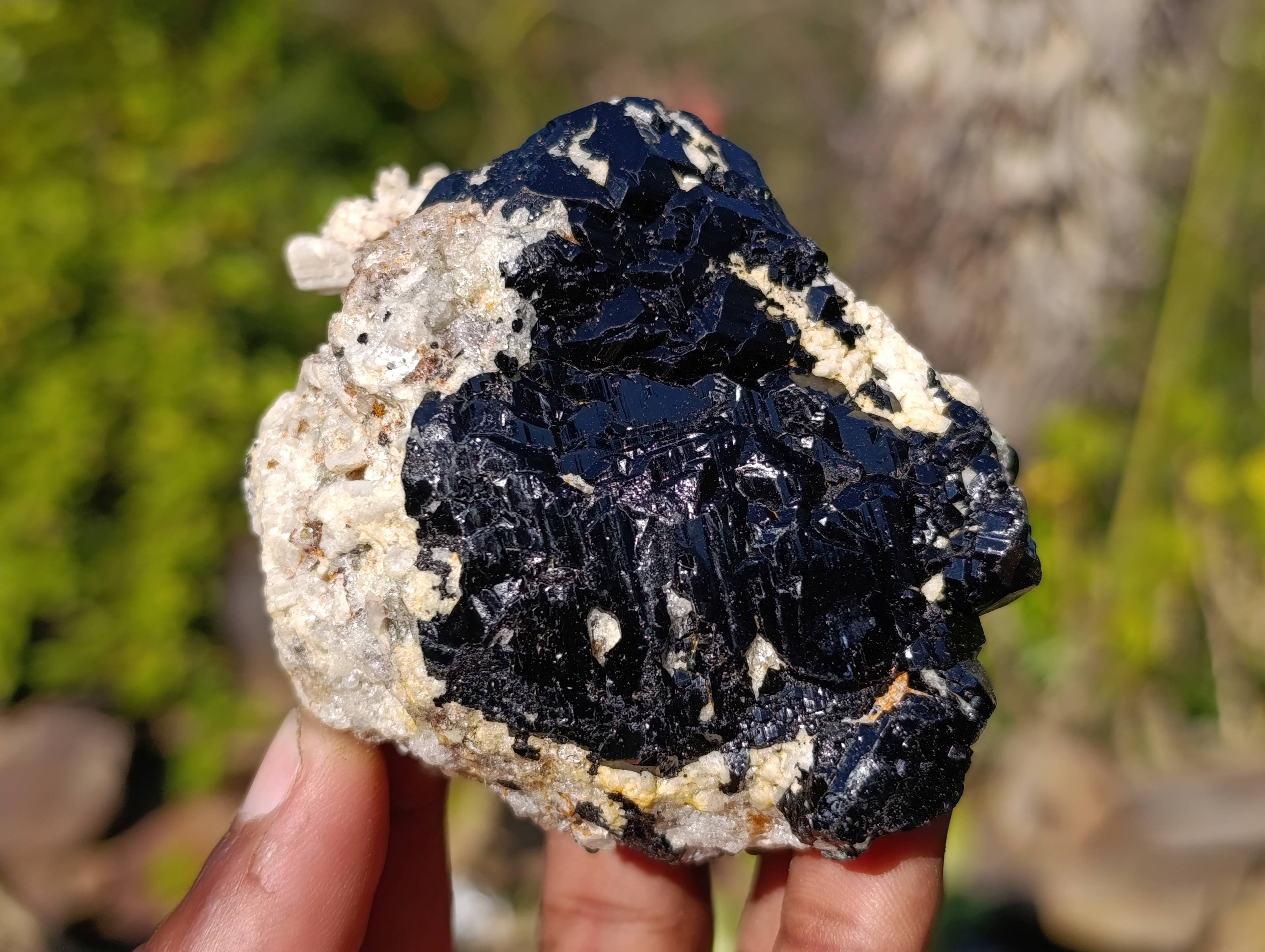 Natural Schorl Black Tourmaline Specimens x 6 From Erongo, Namibia - Toprock Gemstones and Minerals 