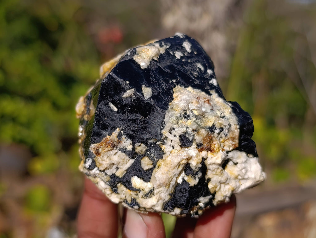 Natural Schorl Black Tourmaline Specimens x 6 From Erongo, Namibia - Toprock Gemstones and Minerals 