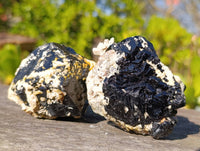 Natural Schorl Black Tourmaline Specimens x 6 From Erongo, Namibia