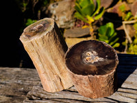 Polished On One Side Petrified Wood x 4 From Gokwe, Zimbabwe - Toprock Gemstones and Minerals 