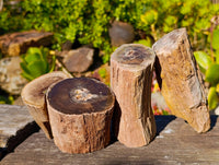Polished On One Side Petrified Wood x 4 From Gokwe, Zimbabwe - Toprock Gemstones and Minerals 