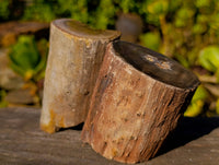 Polished On One Side Petrified Wood x 4 From Gokwe, Zimbabwe - Toprock Gemstones and Minerals 