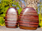 Polished Banded Tiger Iron Jasper Standing Free Forms x 2 From South Africa - Toprock Gemstones and Minerals 