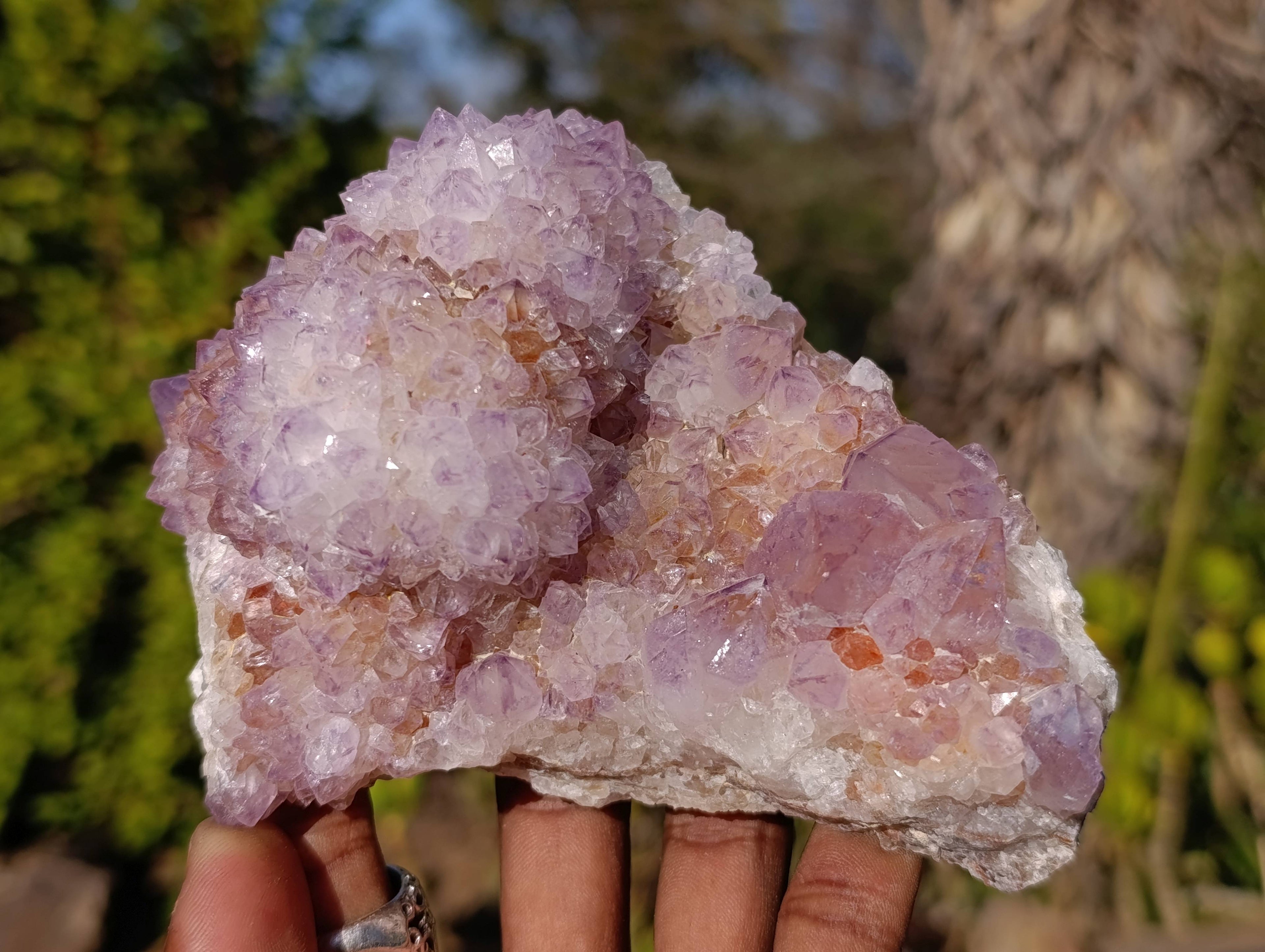Natural Amethyst Spirit Quartz Clusters x 2 From Boekenhouthoek, South Africa - Toprock Gemstones and Minerals 