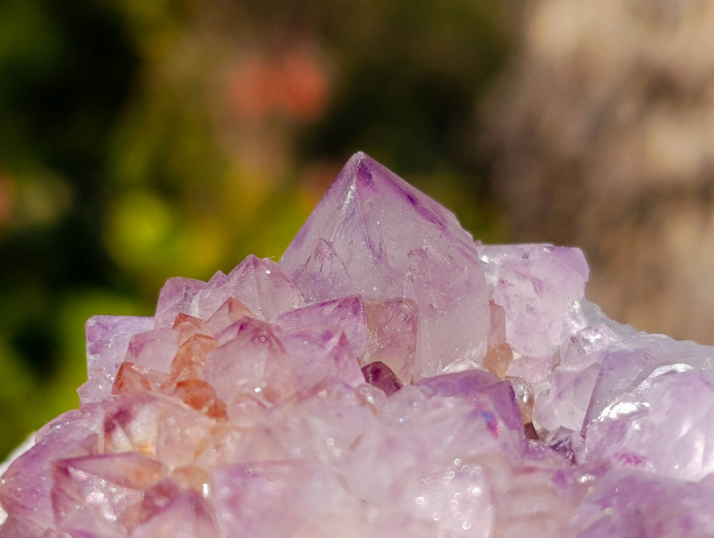 Natural Amethyst Spirit Quartz Clusters x 2 From Boekenhouthoek, South Africa - Toprock Gemstones and Minerals 