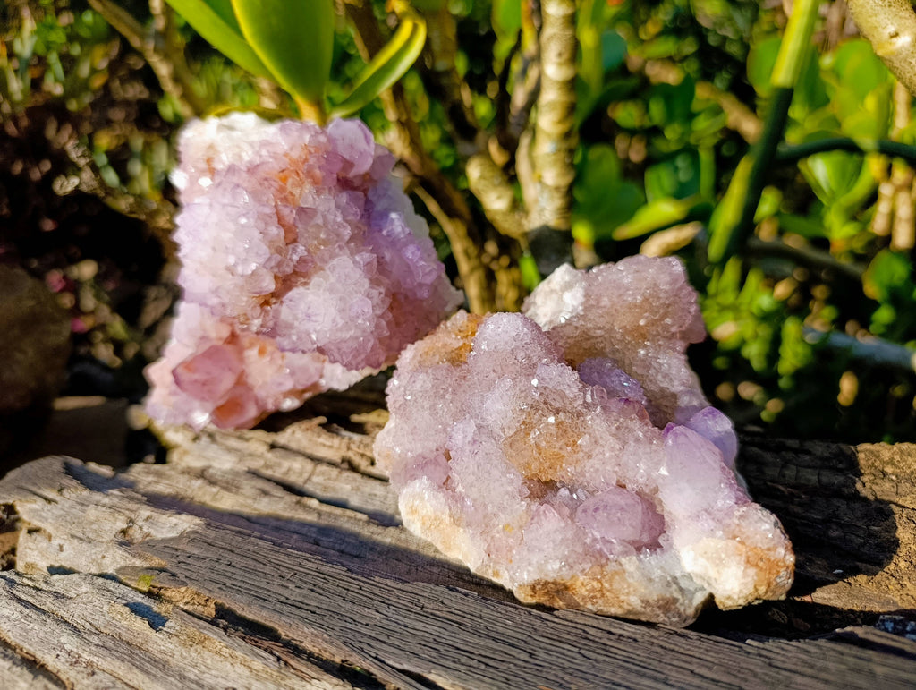 Natural Amethyst Spirit Quartz Clusters x 2 From Boekenhouthoek, South Africa - Toprock Gemstones and Minerals 