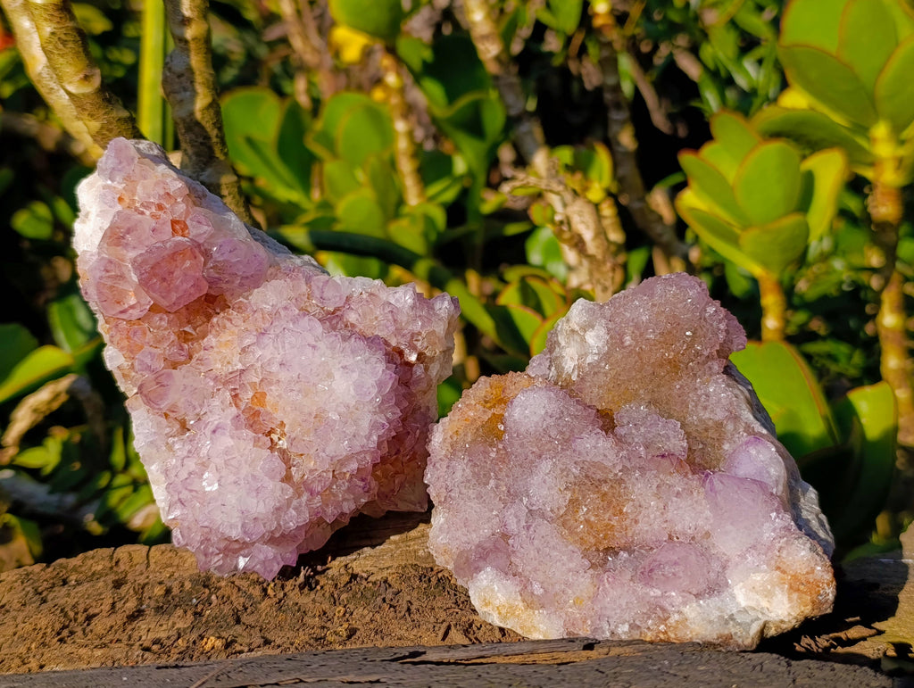 Natural Amethyst Spirit Quartz Clusters x 2 From Boekenhouthoek, South Africa - Toprock Gemstones and Minerals 