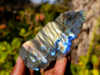 Polished On One Side Labradorite x 24 From Tulear, Madagascar - Toprock Gemstones and Minerals 
