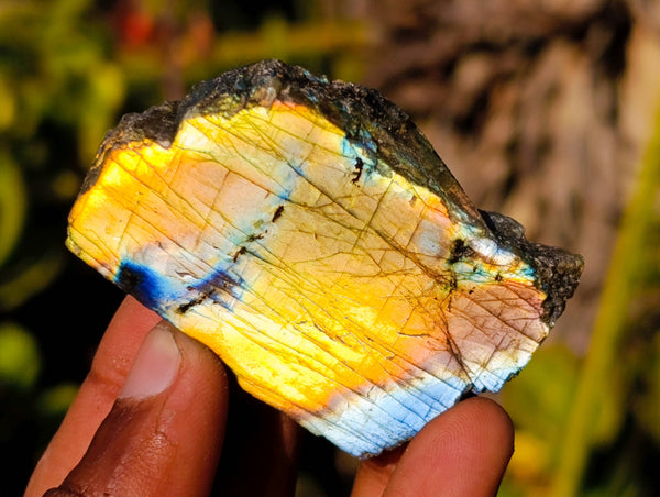 Polished On One Side Labradorite x 24 From Tulear, Madagascar - Toprock Gemstones and Minerals 
