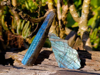 Polished On One Side Labradorite x 24 From Tulear, Madagascar - Toprock Gemstones and Minerals 