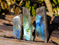 Polished On One Side Labradorite x 24 From Tulear, Madagascar - Toprock Gemstones and Minerals 
