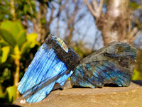 Polished On One Side Labradorite x 24 From Tulear, Madagascar - Toprock Gemstones and Minerals 