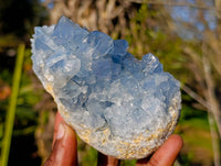 Natural Celestite Specimens x 3 From Sakoany, Madagascar