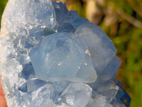 Natural Celestite Specimens x 3 From Sakoany, Madagascar