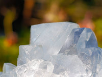 Natural Celestite Specimens x 3 From Sakoany, Madagascar