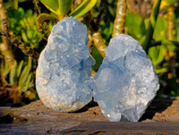 Natural Celestite Specimens x 3 From Sakoany, Madagascar