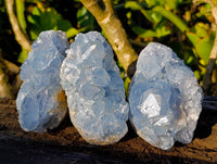 Natural Celestite Specimens x 3 From Sakoany, Madagascar