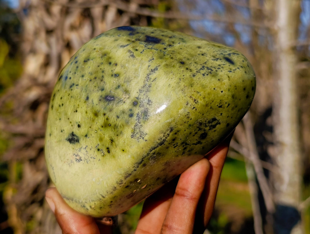 Polished Leopard Stone Free Forms x 4 From Nyanga, Zimbabwe - Toprock Gemstones and Minerals 