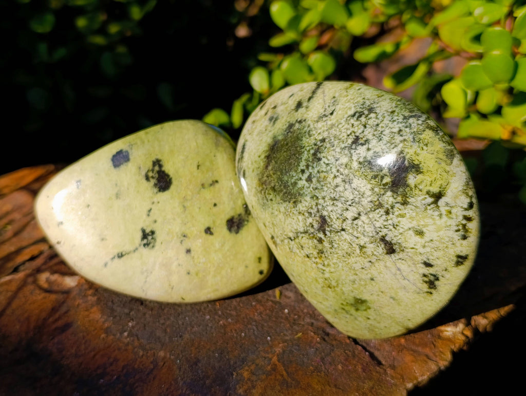 Polished Leopard Stone Free Forms x 4 From Nyanga, Zimbabwe - Toprock Gemstones and Minerals 