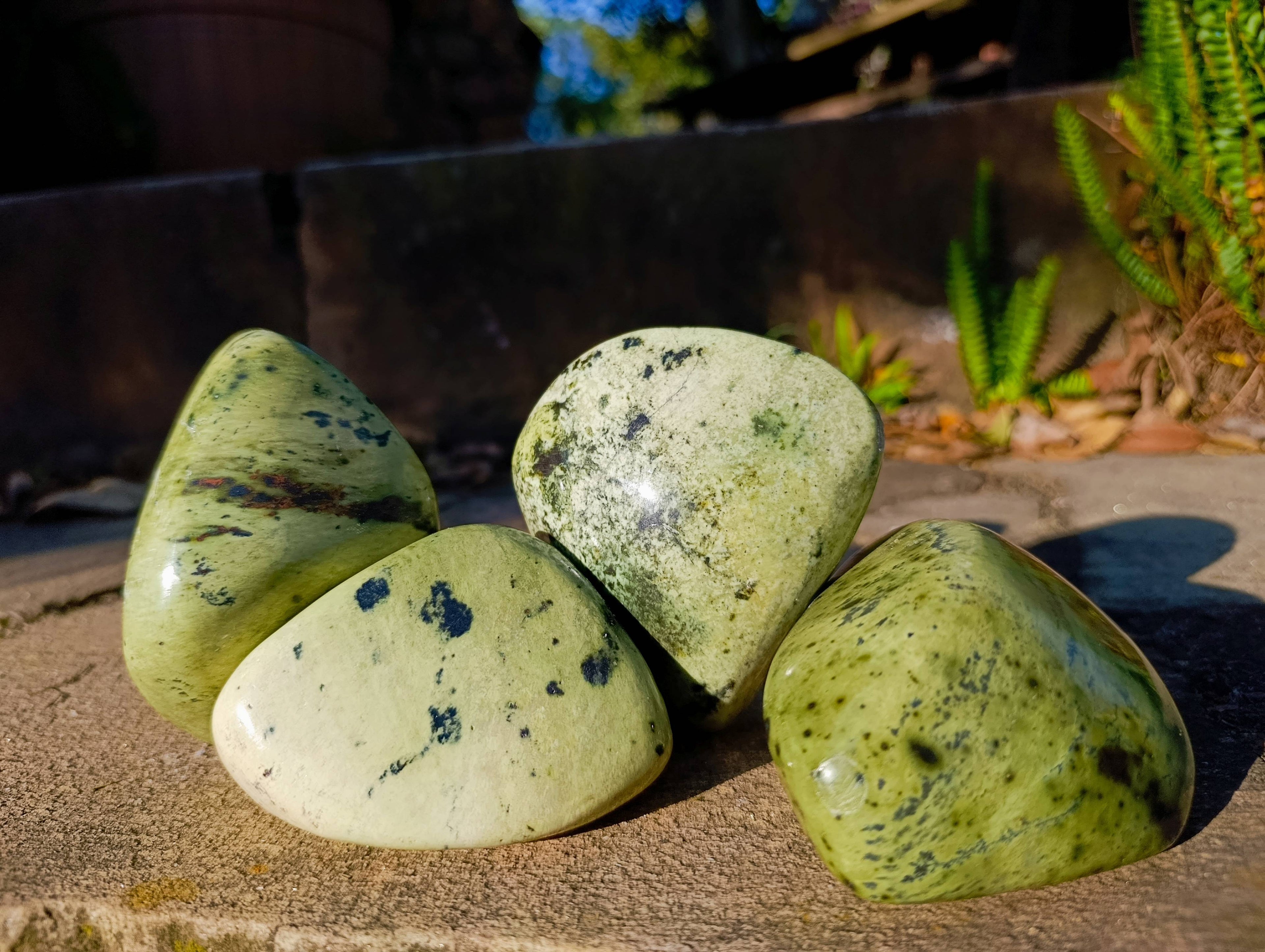 Polished Leopard Stone Free Forms x 4 From Nyanga, Zimbabwe - Toprock Gemstones and Minerals 