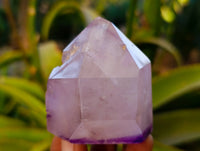 Polished Window Amethyst Crystals x 9 From Madagascar - Toprock Gemstones and Minerals 
