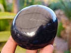 Polished Black Basalt Palm Stones x 6 From Madagascar - Toprock Gemstones and Minerals 
