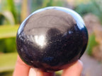 Polished Black Basalt Palm Stones x 6 From Madagascar - Toprock Gemstones and Minerals 