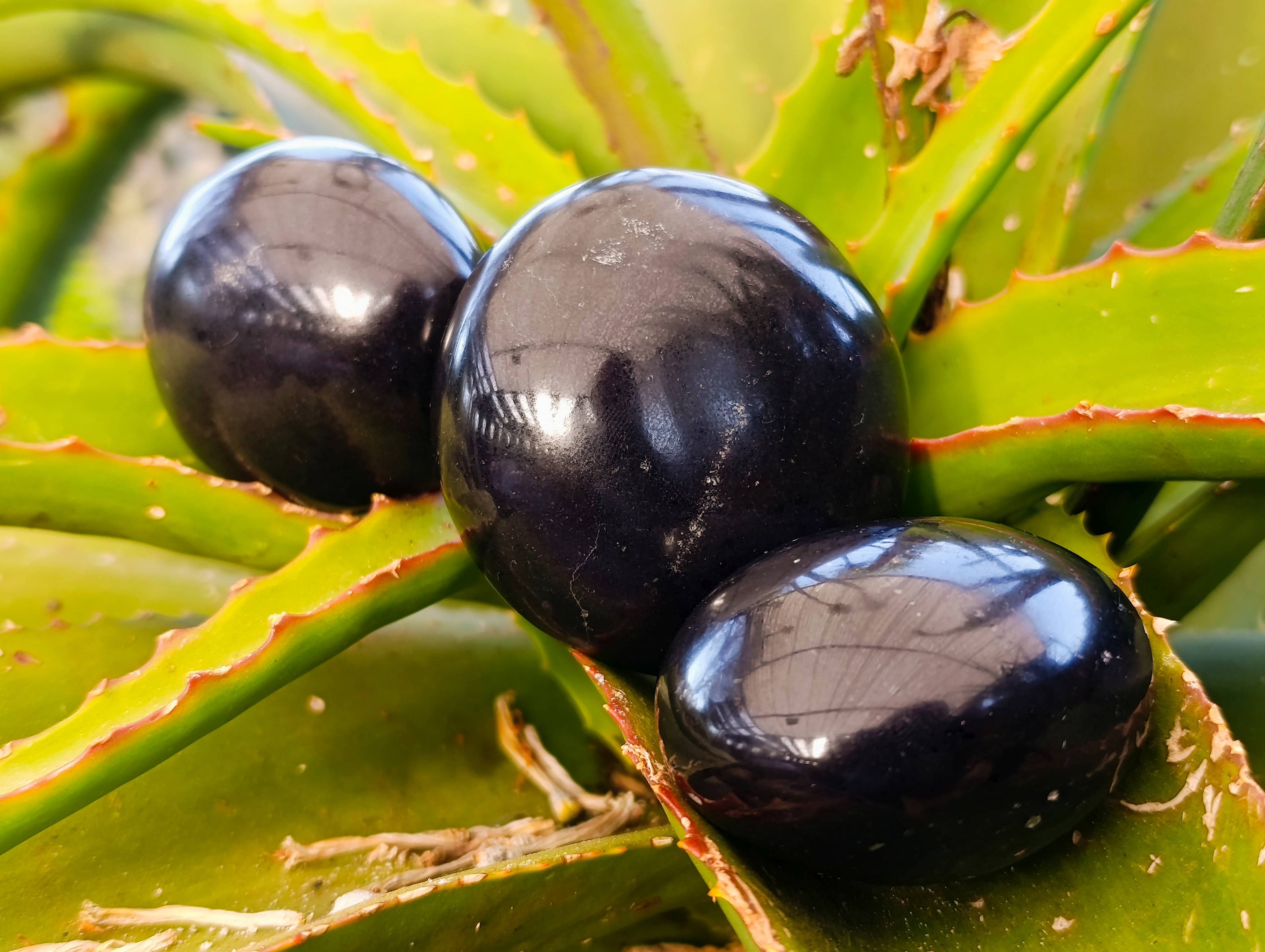 Polished Black Basalt Palm Stones x 6 From Madagascar - Toprock Gemstones and Minerals 