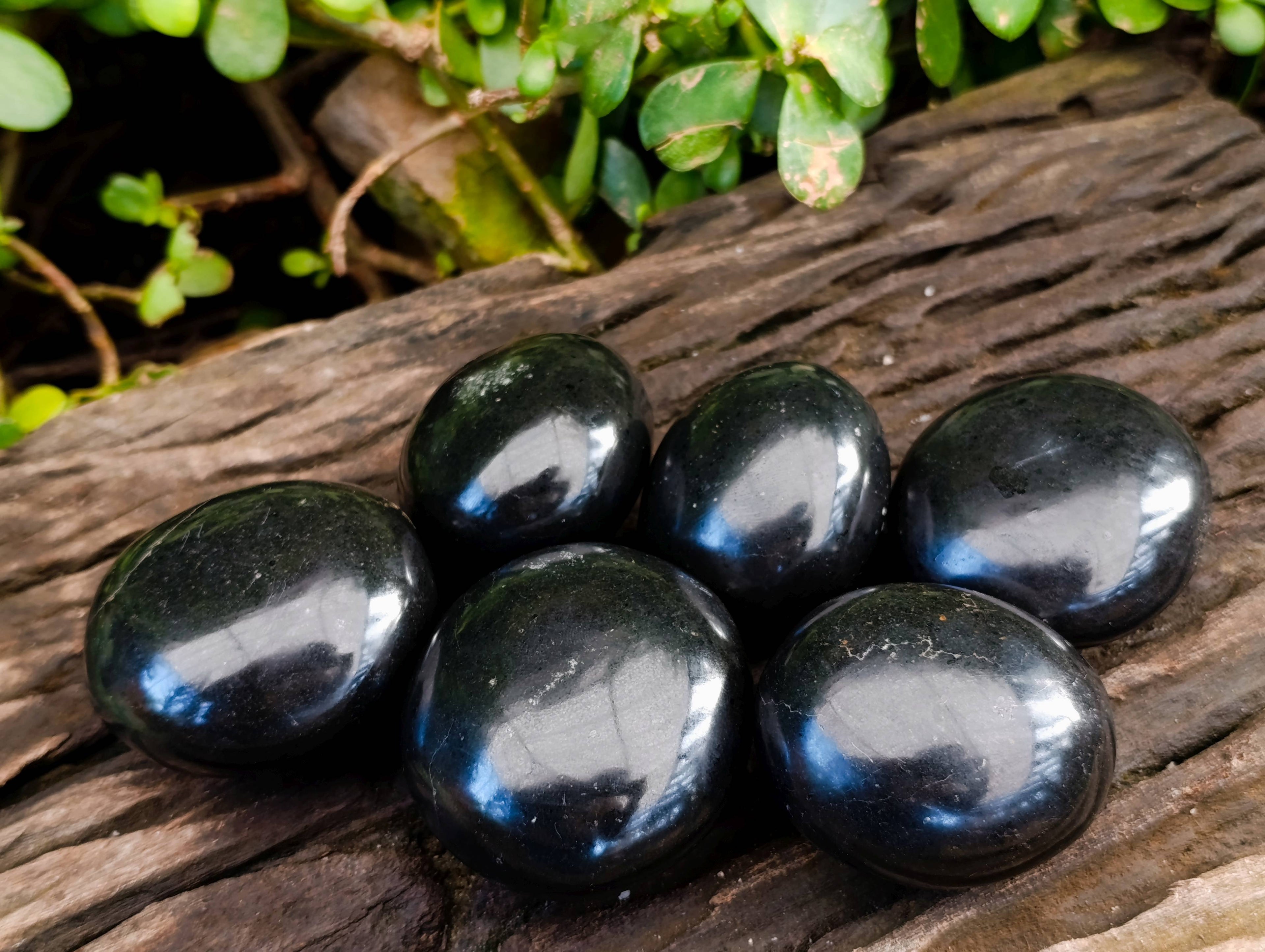 Polished Black Basalt Palm Stones x 6 From Madagascar - Toprock Gemstones and Minerals 