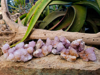 Natural Amethyst Spirit Quartz Clusters x 12 From Boekenhouthoek, South Africa