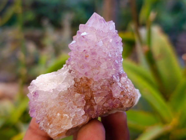 Natural Amethyst Spirit Quartz Clusters x 12 From Boekenhouthoek, South Africa