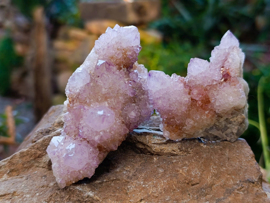 Natural Amethyst Spirit Quartz Clusters x 12 From Boekenhouthoek, South Africa - Toprock Gemstones and Minerals 