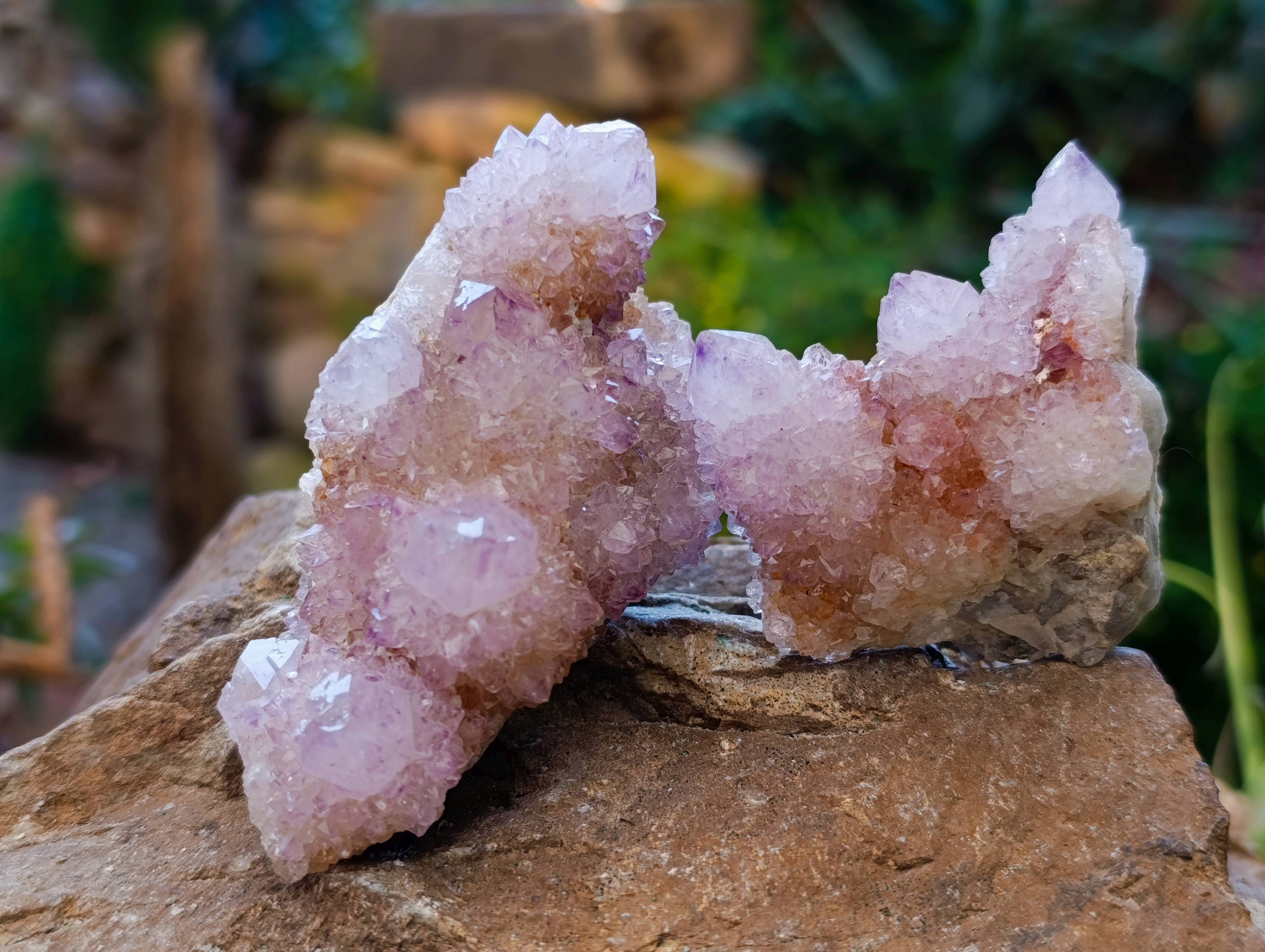 Natural Amethyst Spirit Quartz Clusters x 12 From Boekenhouthoek, South Africa - Toprock Gemstones and Minerals 
