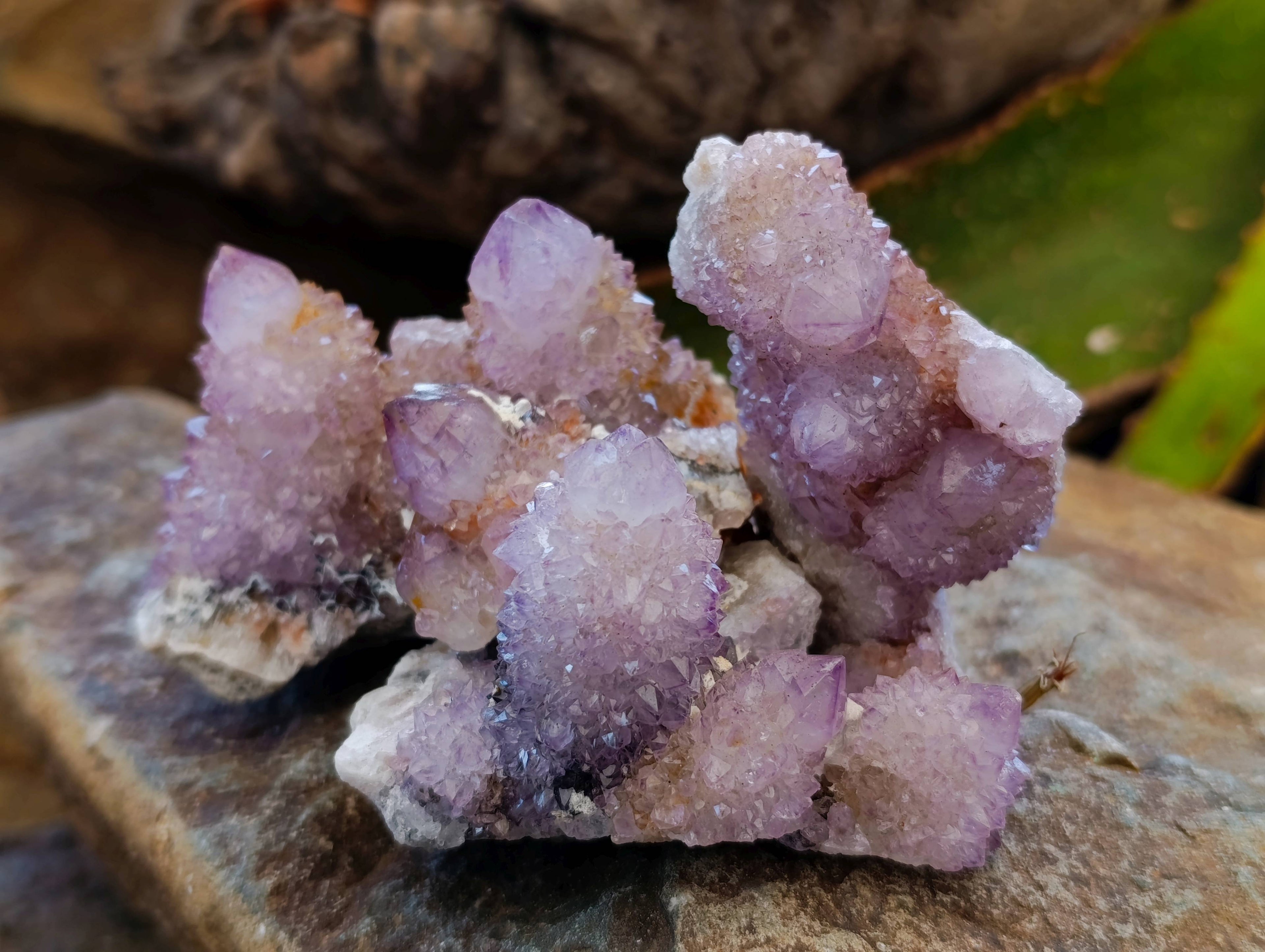 Natural Amethyst Spirit Quartz Clusters x 12 From Boekenhouthoek, South Africa - Toprock Gemstones and Minerals 