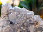 Natural Celestite Specimen x 1 From Sakoany, Madagascar - Toprock Gemstones and Minerals 