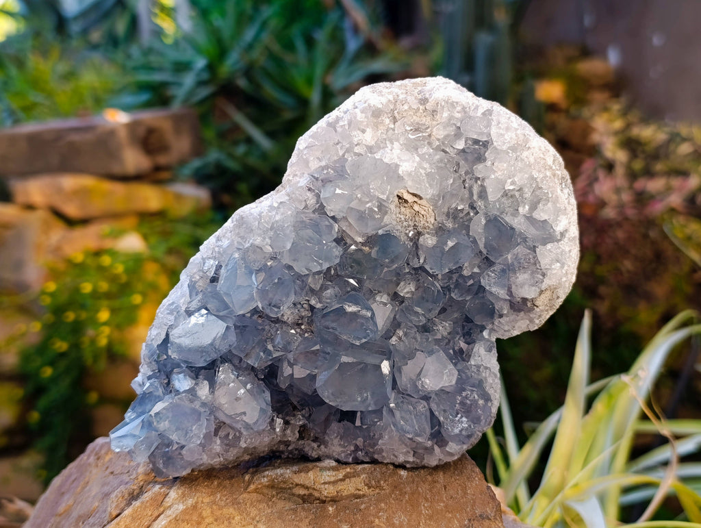 Natural Celestite Specimen x 1 From Sakoany, Madagascar - Toprock Gemstones and Minerals 