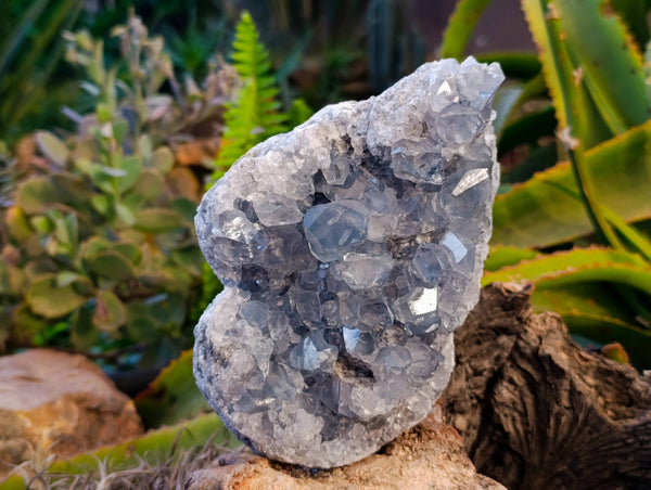 Natural Celestite Specimen x 1 From Sakoany, Madagascar
