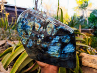 Polished Labradorite Standing Free Form x 1 From Tulear, Madagascar