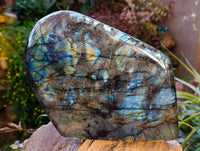 Polished Labradorite Standing Free Form x 1 From Tulear, Madagascar