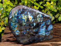 Polished Labradorite Standing Free Form x 1 From Tulear, Madagascar