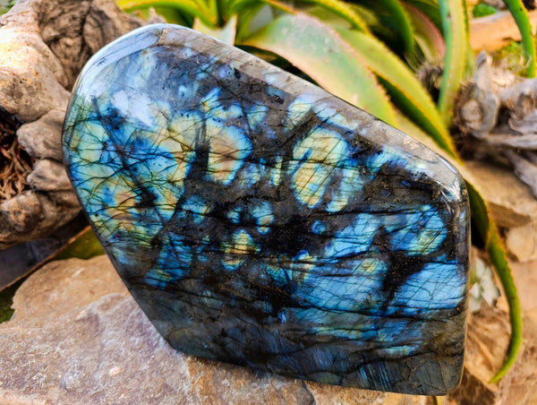 Polished Labradorite Standing Free Form x 1 From Tulear, Madagascar