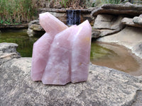 Polished Large Rose Quartz Display Piece x 1 From Madagascar