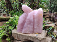 Polished Large Rose Quartz Display Piece x 1 From Madagascar