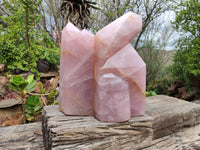 Polished Large Rose Quartz Display Piece x 1 From Madagascar