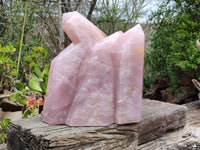 Polished Large Rose Quartz Display Piece x 1 From Madagascar