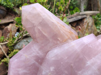 Polished Large Rose Quartz Display Piece x 1 From Madagascar