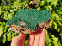Natural Crystalline Malachite Specimens x 3 From Congo
